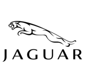 جاكوار (Jaguar)